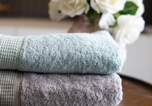 What is the Need for Antibacterial Bath Towels?