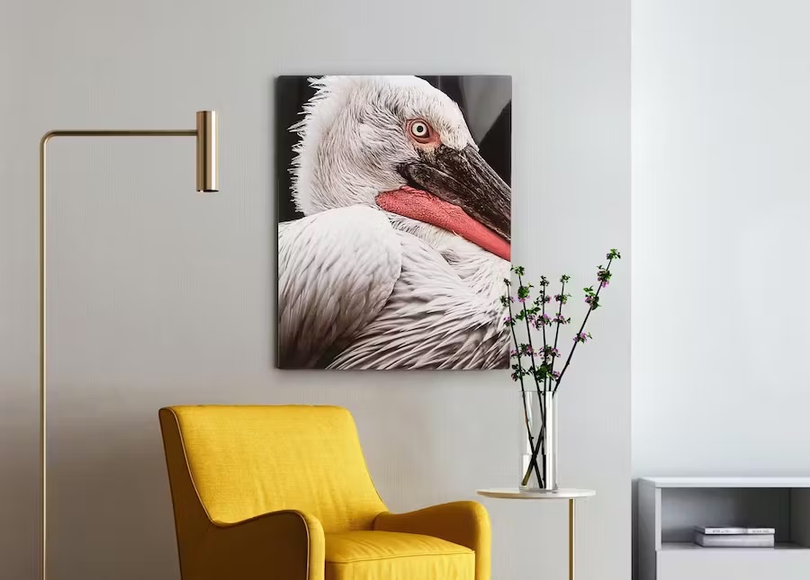 Enhance Your Space with Stunning HD Metal Prints