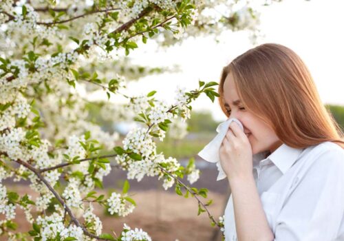 Tips for Managing Allergies During Pollen Season: How to Minimize Exposure to Pollen and Alleviate Symptoms 