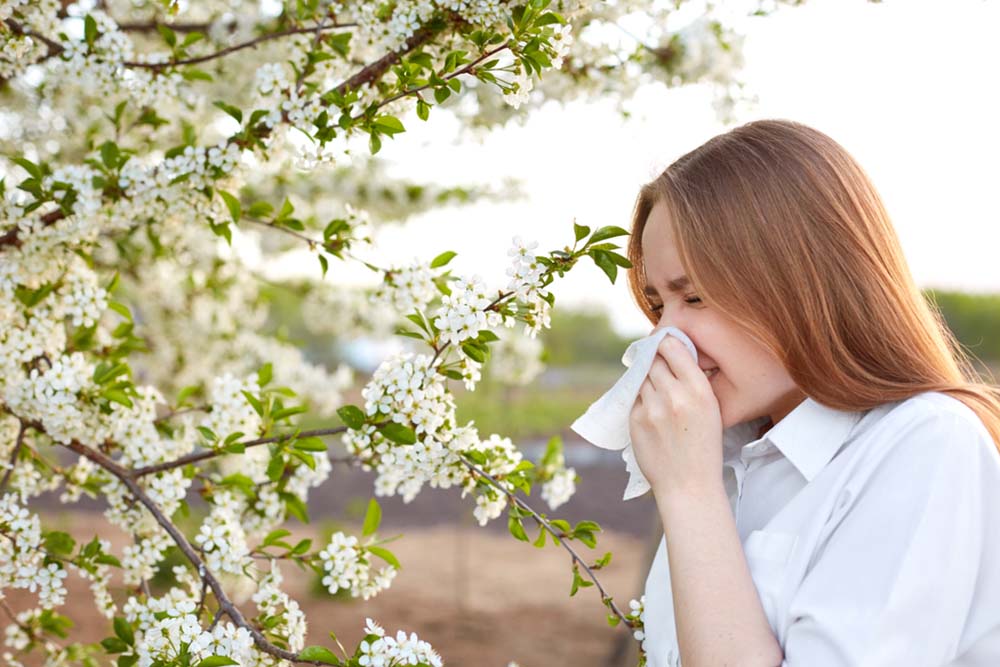 Tips for Managing Allergies During Pollen Season: How to Minimize Exposure to Pollen and Alleviate Symptoms 