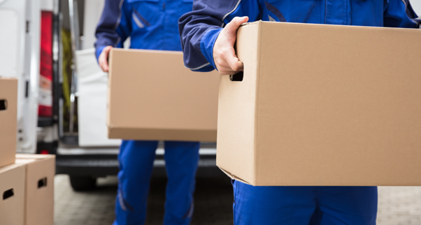 Reliable Removalists of Sydney: Where Quality Meets Efficiency