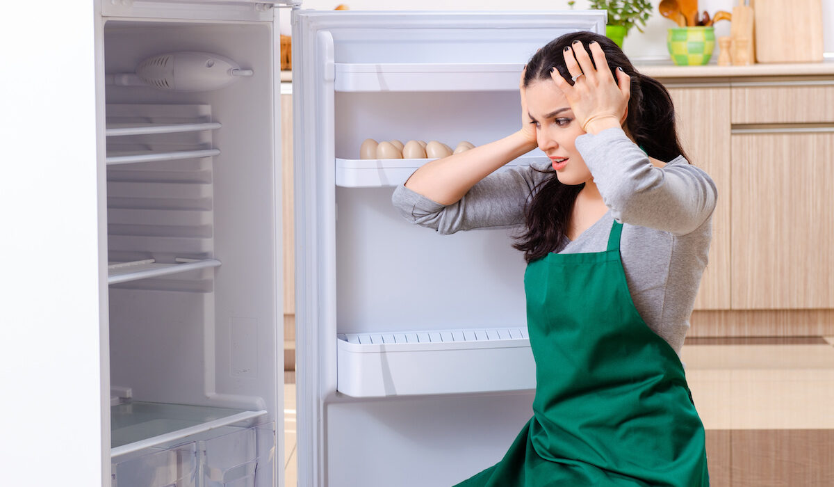 Top Refrigerator Problems and How Professional Repair Can Help