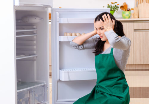 Top Refrigerator Problems and How Professional Repair Can Help