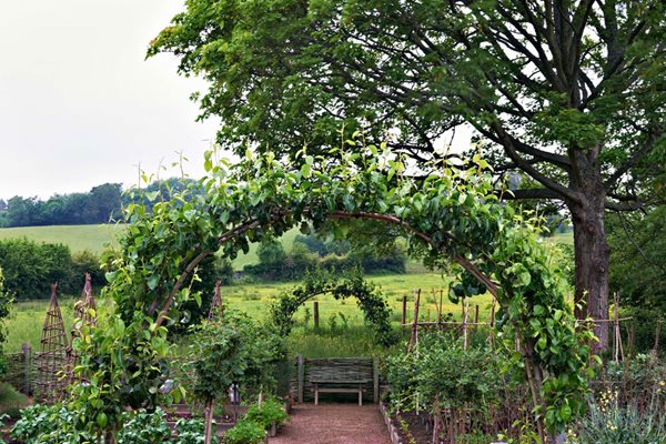 Edible Garden