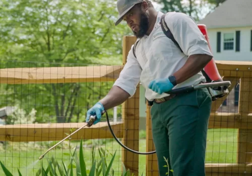 Expert Lawn Pest Management Solutions for Twin Cities Residents