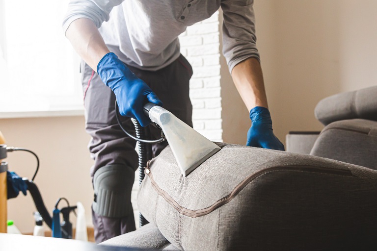Eco-Friendly Sofa Repair How to Restore Your Couch Sustainably